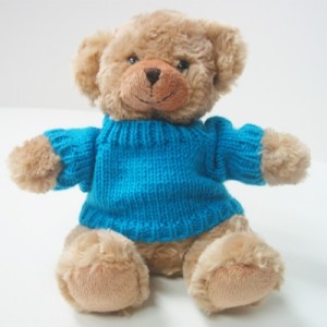 Sweater Bear